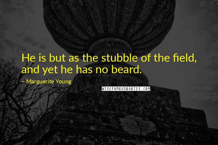 Marguerite Young Quotes: He is but as the stubble of the field, and yet he has no beard.