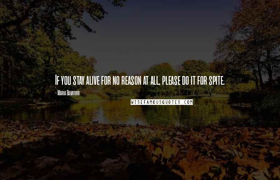 Maria Bamford Quotes: If you stay alive for no reason at all, please do it for spite.