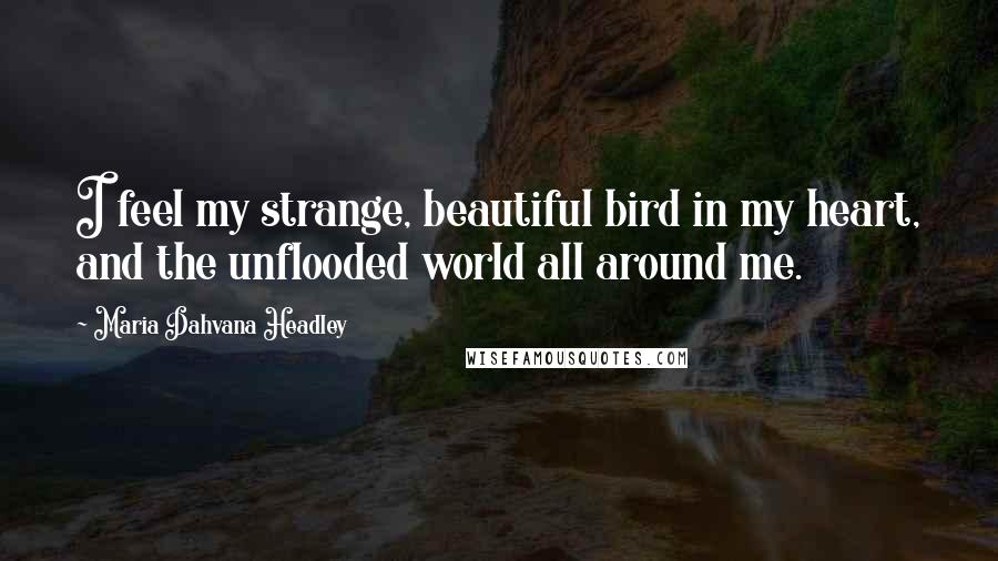 Maria Dahvana Headley Quotes: I feel my strange, beautiful bird in my heart, and the unflooded world all around me.