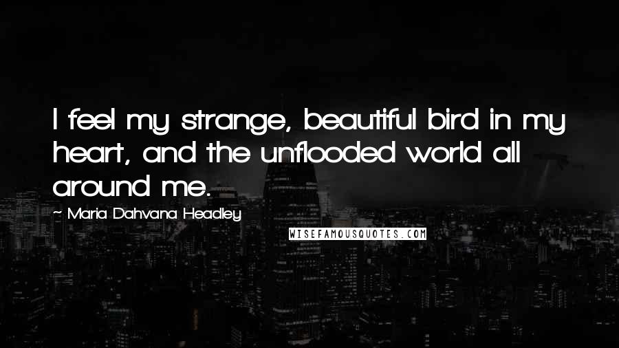 Maria Dahvana Headley Quotes: I feel my strange, beautiful bird in my heart, and the unflooded world all around me.