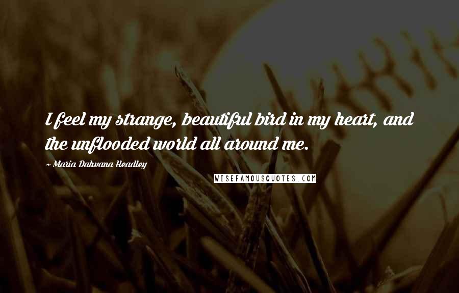 Maria Dahvana Headley Quotes: I feel my strange, beautiful bird in my heart, and the unflooded world all around me.