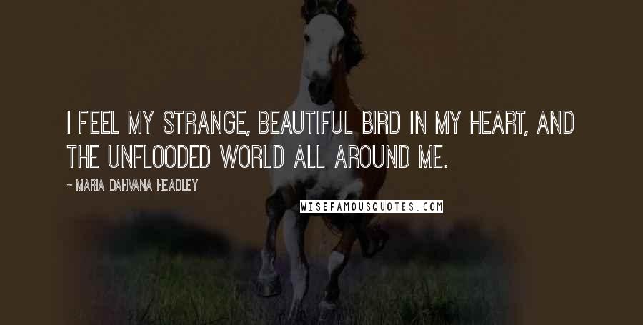 Maria Dahvana Headley Quotes: I feel my strange, beautiful bird in my heart, and the unflooded world all around me.