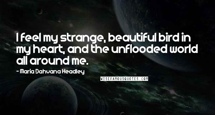 Maria Dahvana Headley Quotes: I feel my strange, beautiful bird in my heart, and the unflooded world all around me.