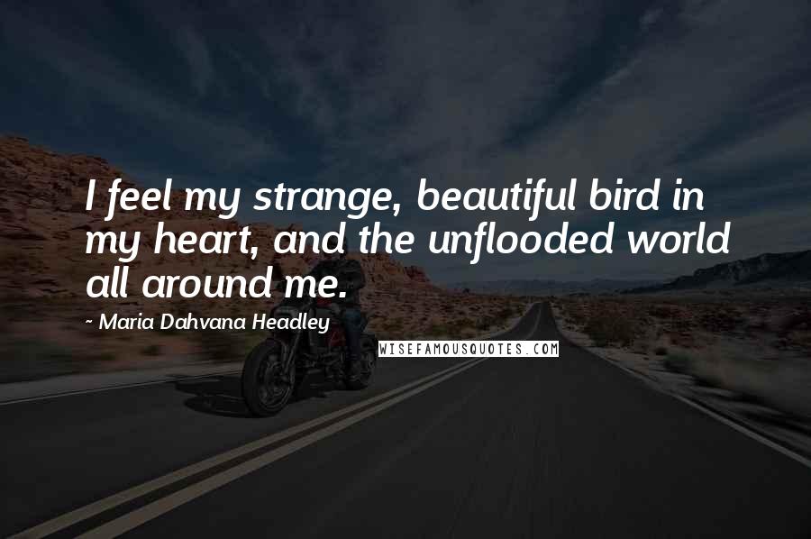 Maria Dahvana Headley Quotes: I feel my strange, beautiful bird in my heart, and the unflooded world all around me.