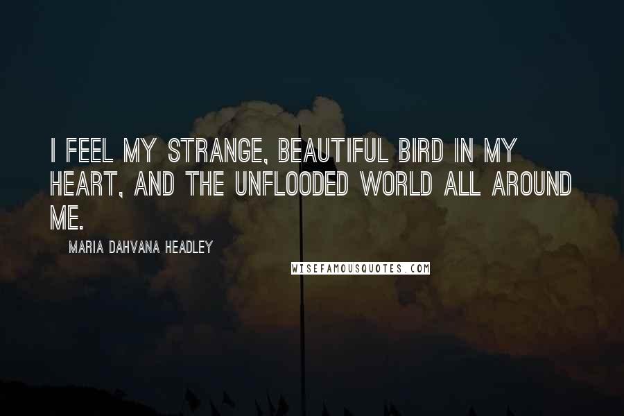 Maria Dahvana Headley Quotes: I feel my strange, beautiful bird in my heart, and the unflooded world all around me.