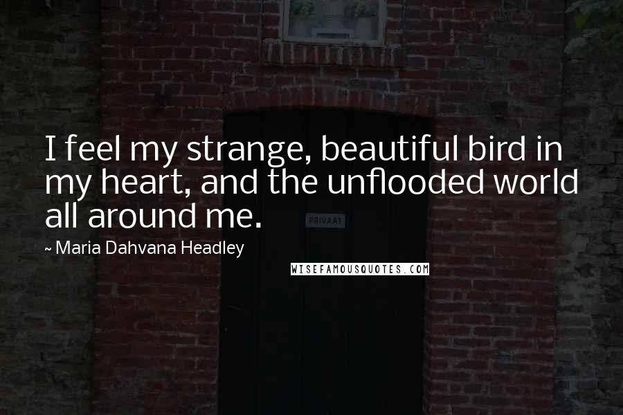 Maria Dahvana Headley Quotes: I feel my strange, beautiful bird in my heart, and the unflooded world all around me.