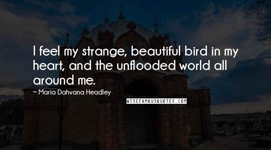 Maria Dahvana Headley Quotes: I feel my strange, beautiful bird in my heart, and the unflooded world all around me.