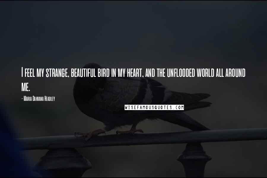 Maria Dahvana Headley Quotes: I feel my strange, beautiful bird in my heart, and the unflooded world all around me.