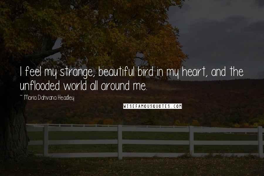 Maria Dahvana Headley Quotes: I feel my strange, beautiful bird in my heart, and the unflooded world all around me.