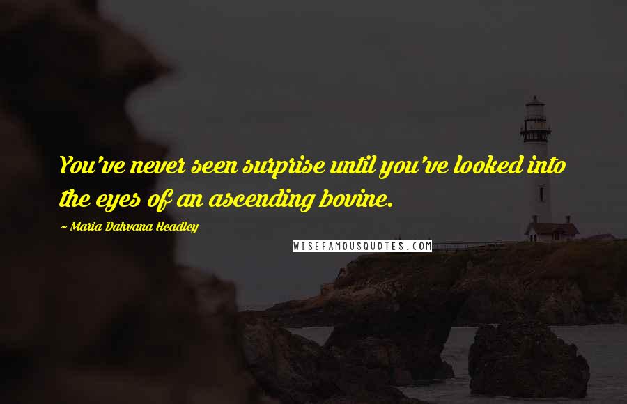 Maria Dahvana Headley Quotes: You've never seen surprise until you've looked into the eyes of an ascending bovine.