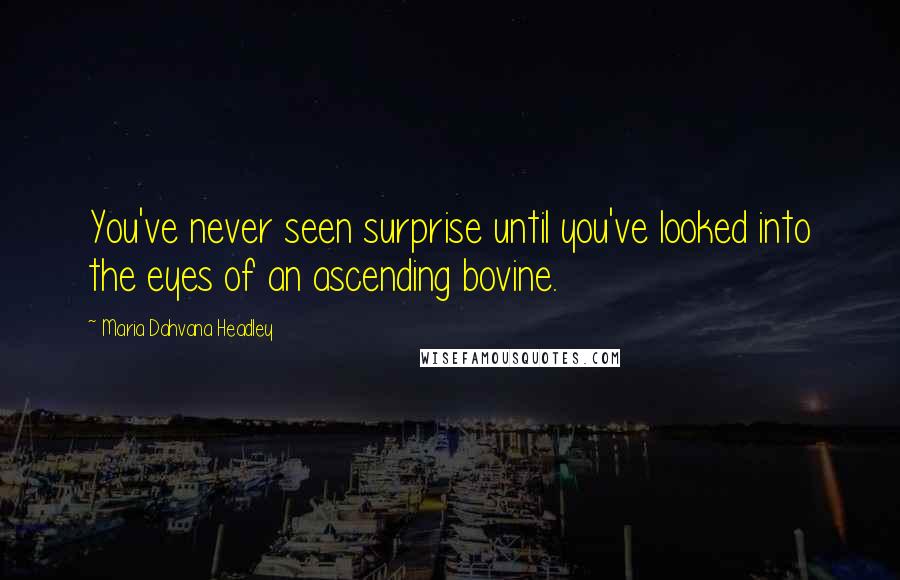 Maria Dahvana Headley Quotes: You've never seen surprise until you've looked into the eyes of an ascending bovine.