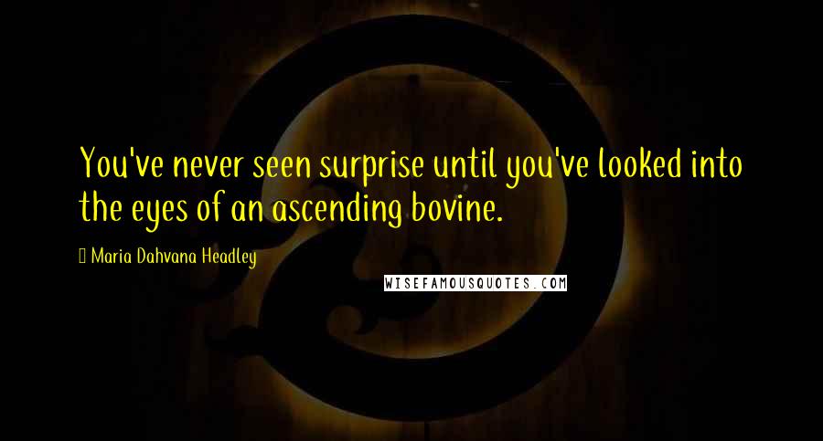 Maria Dahvana Headley Quotes: You've never seen surprise until you've looked into the eyes of an ascending bovine.