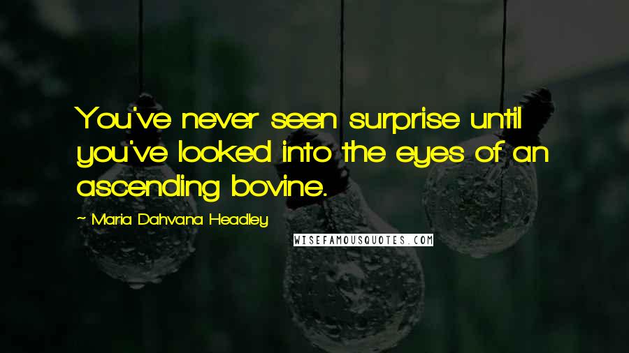 Maria Dahvana Headley Quotes: You've never seen surprise until you've looked into the eyes of an ascending bovine.