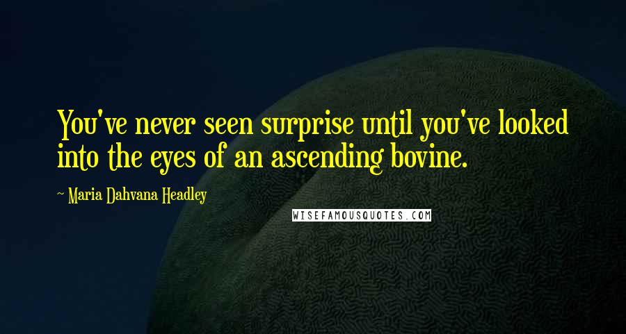 Maria Dahvana Headley Quotes: You've never seen surprise until you've looked into the eyes of an ascending bovine.