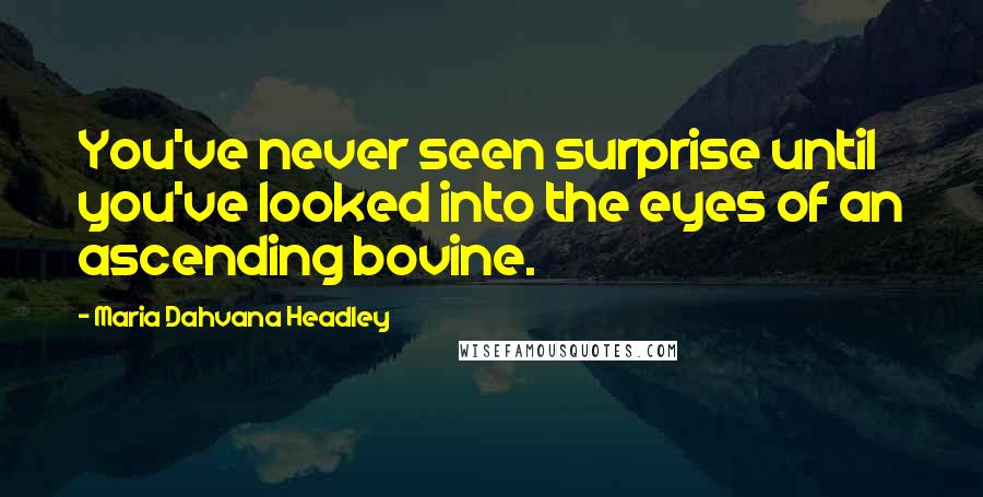 Maria Dahvana Headley Quotes: You've never seen surprise until you've looked into the eyes of an ascending bovine.