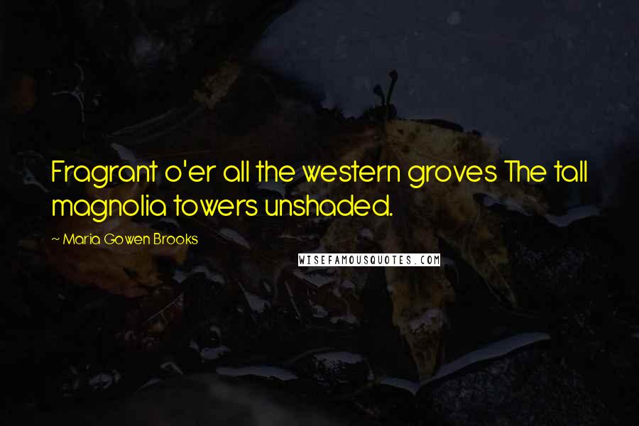 Maria Gowen Brooks Quotes: Fragrant o'er all the western groves The tall magnolia towers unshaded.