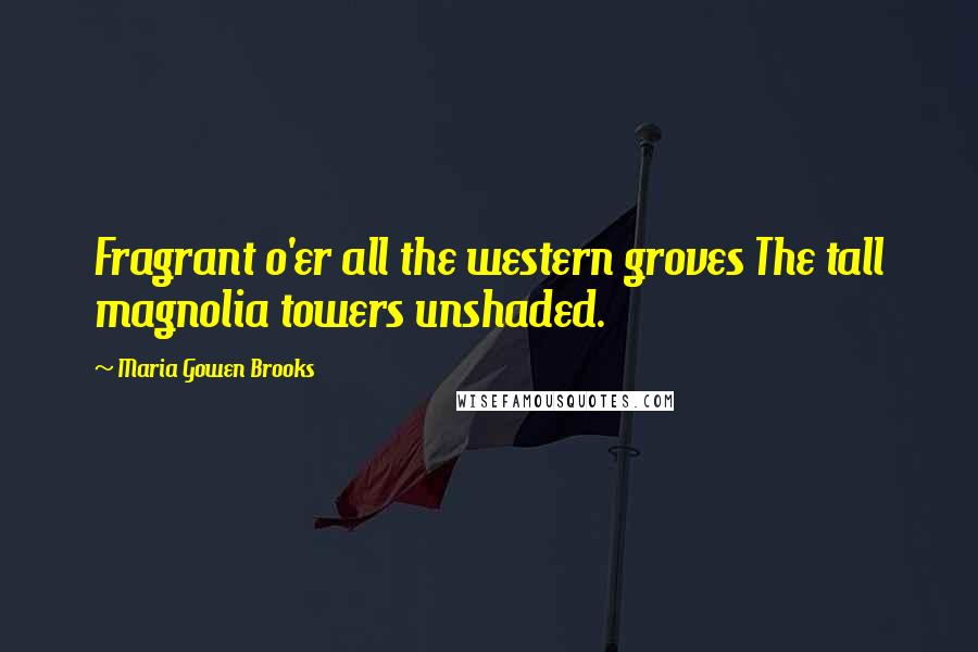 Maria Gowen Brooks Quotes: Fragrant o'er all the western groves The tall magnolia towers unshaded.