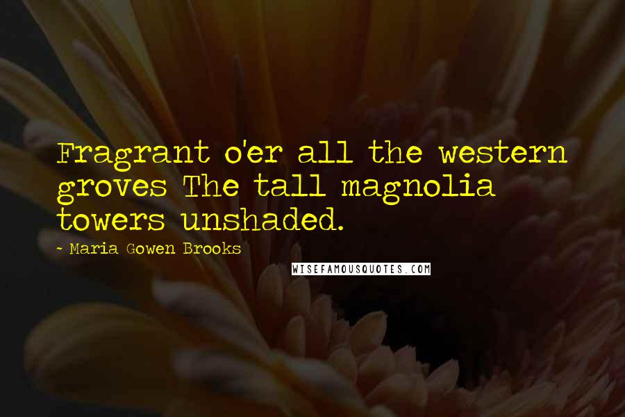 Maria Gowen Brooks Quotes: Fragrant o'er all the western groves The tall magnolia towers unshaded.