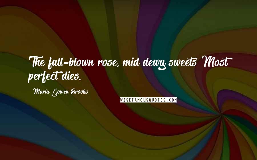 Maria Gowen Brooks Quotes: The full-blown rose, mid dewy sweets Most perfect dies.