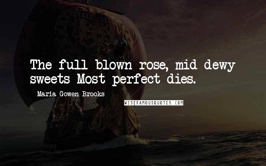 Maria Gowen Brooks Quotes: The full-blown rose, mid dewy sweets Most perfect dies.