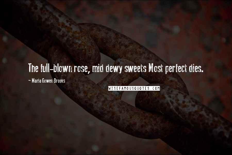 Maria Gowen Brooks Quotes: The full-blown rose, mid dewy sweets Most perfect dies.