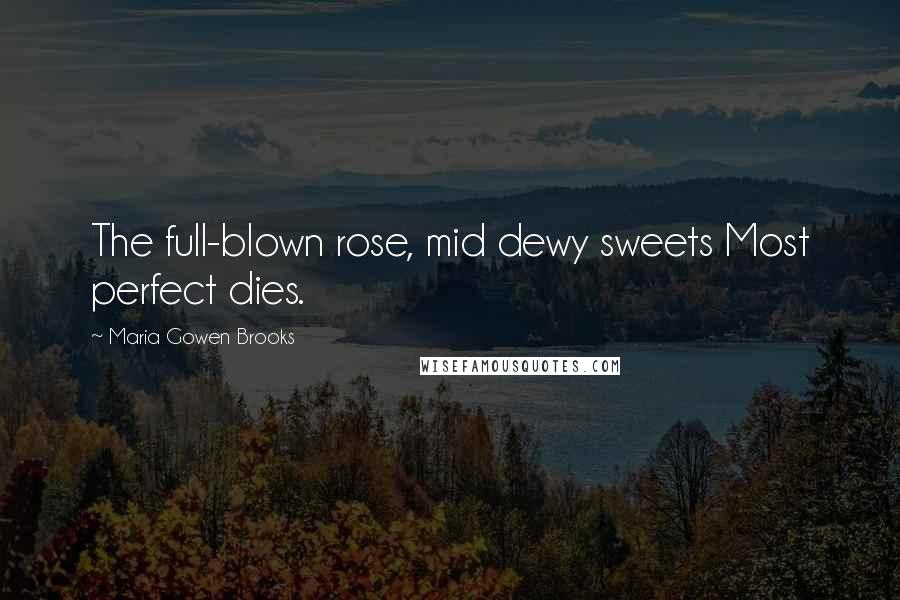 Maria Gowen Brooks Quotes: The full-blown rose, mid dewy sweets Most perfect dies.