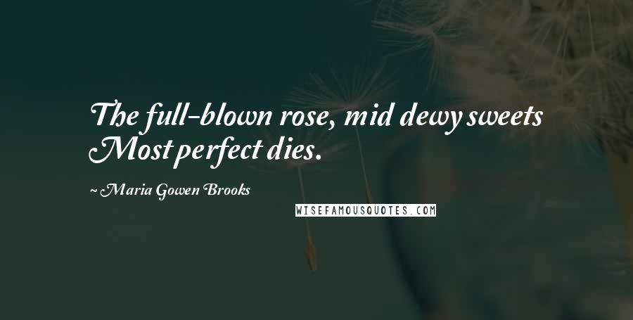 Maria Gowen Brooks Quotes: The full-blown rose, mid dewy sweets Most perfect dies.
