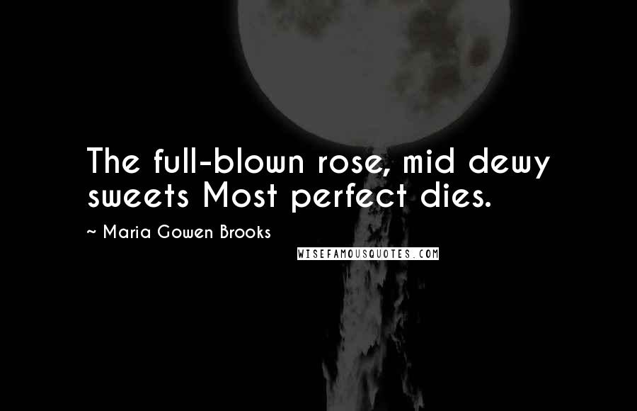 Maria Gowen Brooks Quotes: The full-blown rose, mid dewy sweets Most perfect dies.