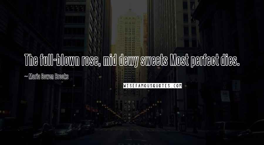 Maria Gowen Brooks Quotes: The full-blown rose, mid dewy sweets Most perfect dies.