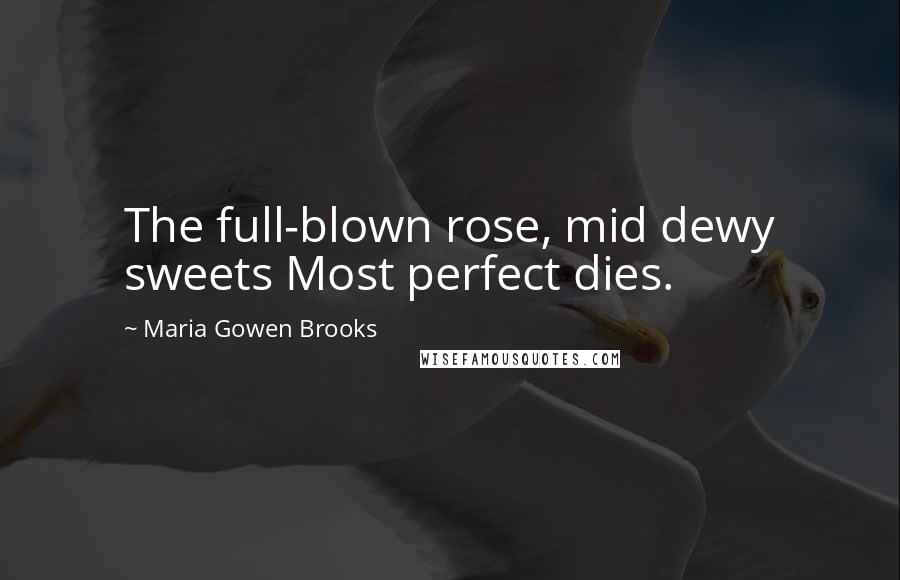 Maria Gowen Brooks Quotes: The full-blown rose, mid dewy sweets Most perfect dies.
