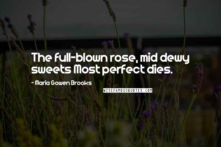 Maria Gowen Brooks Quotes: The full-blown rose, mid dewy sweets Most perfect dies.