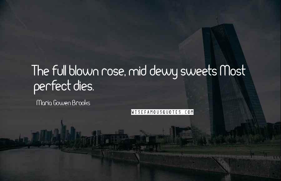 Maria Gowen Brooks Quotes: The full-blown rose, mid dewy sweets Most perfect dies.