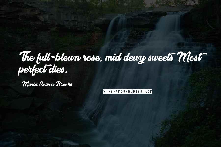 Maria Gowen Brooks Quotes: The full-blown rose, mid dewy sweets Most perfect dies.