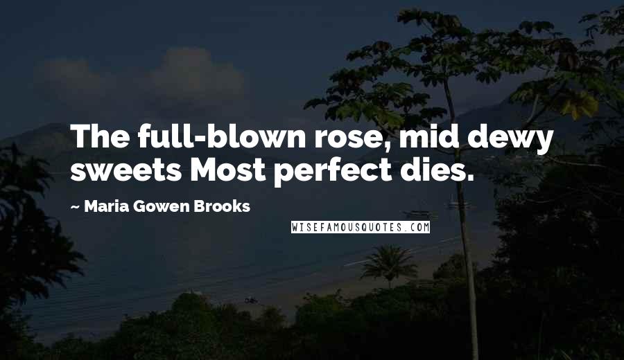 Maria Gowen Brooks Quotes: The full-blown rose, mid dewy sweets Most perfect dies.