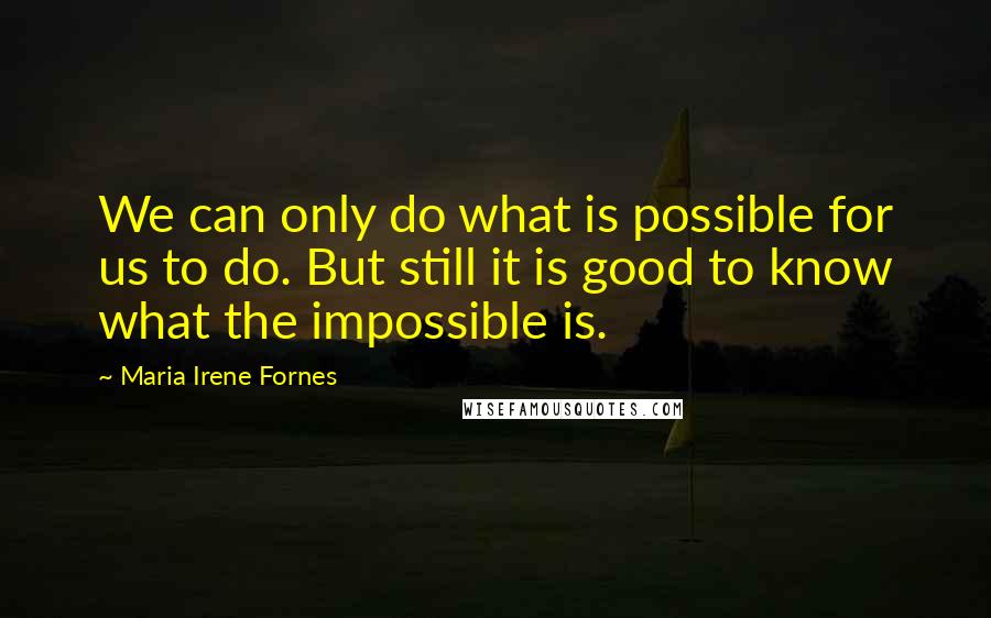 Maria Irene Fornes Quotes: We can only do what is possible for us to do. But still it is good to know what the impossible is.