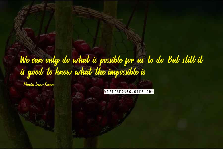 Maria Irene Fornes Quotes: We can only do what is possible for us to do. But still it is good to know what the impossible is.