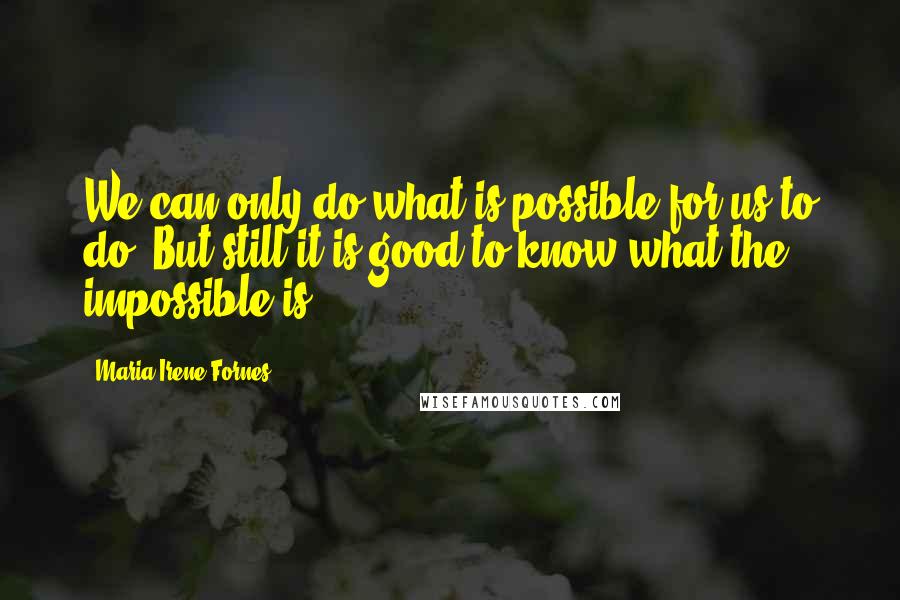 Maria Irene Fornes Quotes: We can only do what is possible for us to do. But still it is good to know what the impossible is.