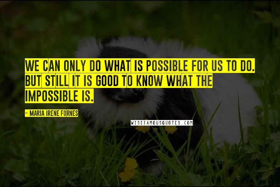 Maria Irene Fornes Quotes: We can only do what is possible for us to do. But still it is good to know what the impossible is.