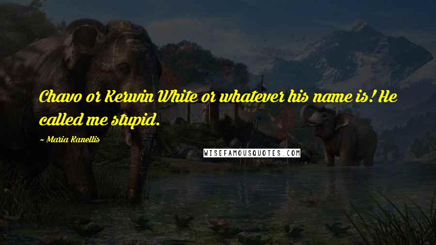 Maria Kanellis Quotes: Chavo or Kerwin White or whatever his name is! He called me stupid.