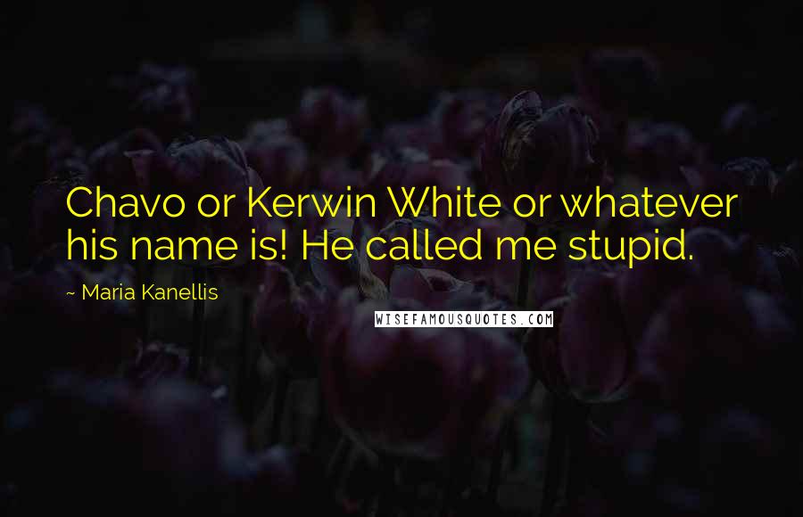 Maria Kanellis Quotes: Chavo or Kerwin White or whatever his name is! He called me stupid.