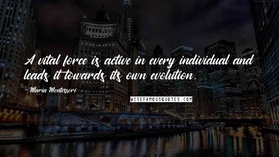 Maria Montessori Quotes: A vital force is active in every individual and leads it towards its own evolution.