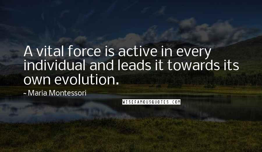 Maria Montessori Quotes: A vital force is active in every individual and leads it towards its own evolution.