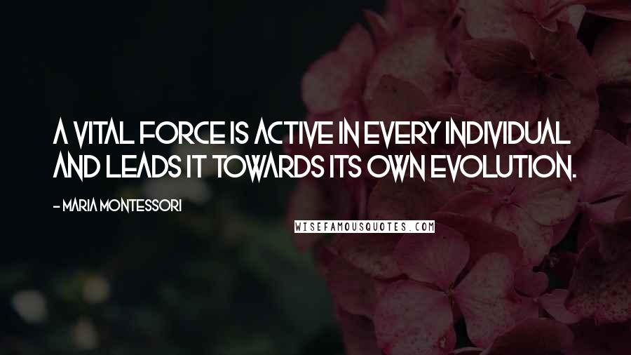 Maria Montessori Quotes: A vital force is active in every individual and leads it towards its own evolution.