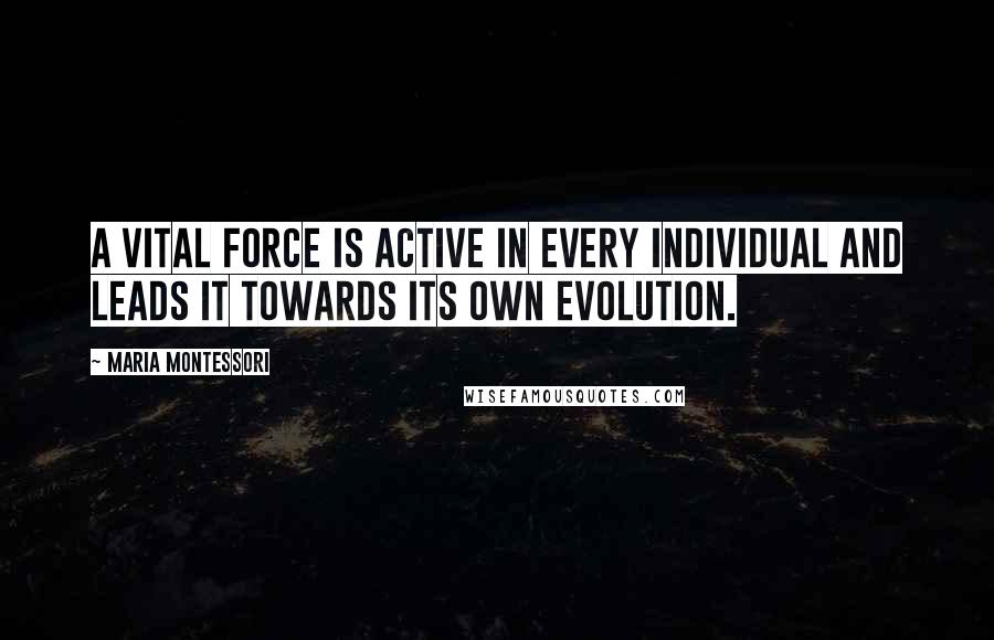 Maria Montessori Quotes: A vital force is active in every individual and leads it towards its own evolution.