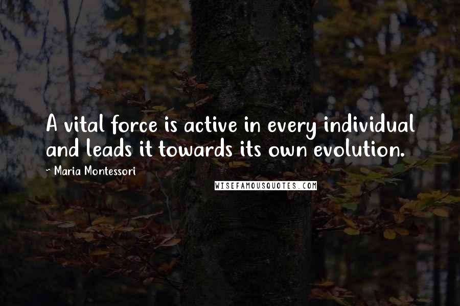 Maria Montessori Quotes: A vital force is active in every individual and leads it towards its own evolution.