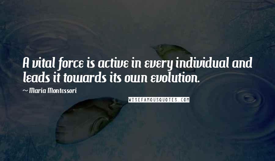 Maria Montessori Quotes: A vital force is active in every individual and leads it towards its own evolution.