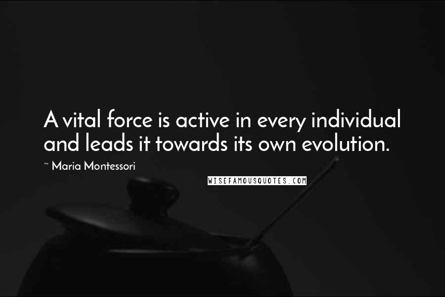 Maria Montessori Quotes: A vital force is active in every individual and leads it towards its own evolution.
