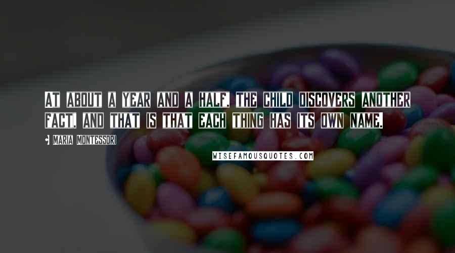 Maria Montessori Quotes: At about a year and a half, the child discovers another fact, and that is that each thing has its own name.