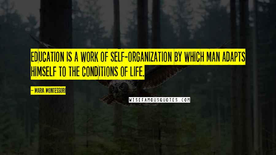 Maria Montessori Quotes: Education is a work of self-organization by which man adapts himself to the conditions of life.