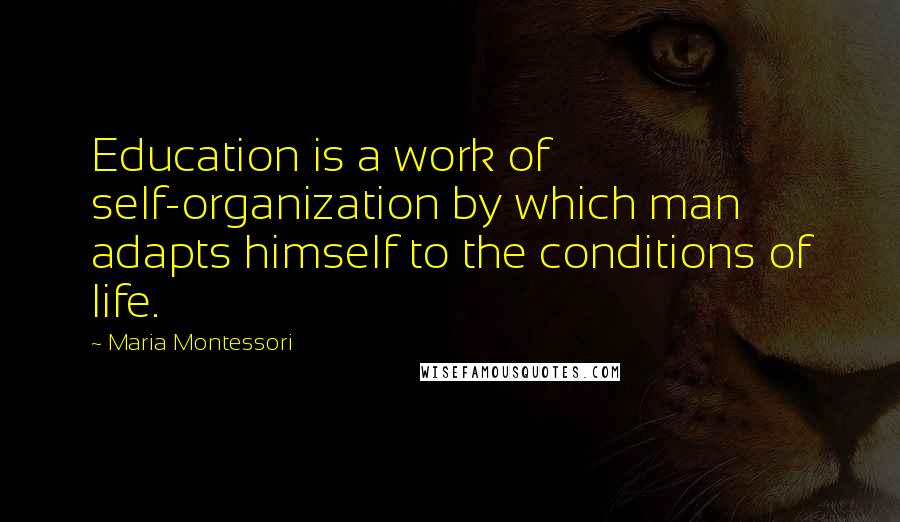 Maria Montessori Quotes: Education is a work of self-organization by which man adapts himself to the conditions of life.